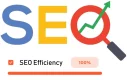 GOOGLE SEO